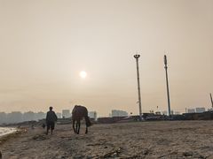 -碣石国家级海洋公园