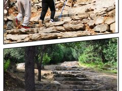 -大觉寺-停车场