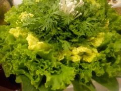 -食潮汕头鲜牛馆(望京保利店)