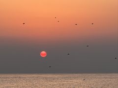 -日照灯塔风景区