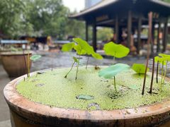 -西安大兴善寺