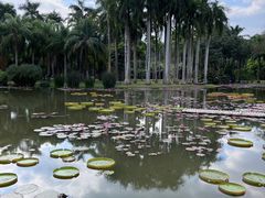 -中国科学院西双版纳热带植物园