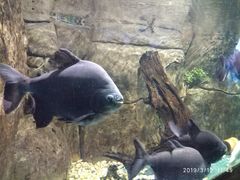 景点-嘉兴海底世界