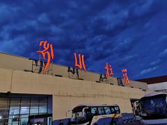 -松赞拉萨林卡酒店