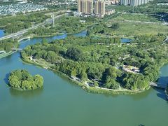 -嘉定凯悦·咖啡厅