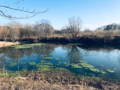 -梁鸿国家湿地公园