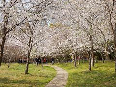 -共青国家森林公园-售票处