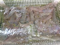 -后田海鲜餐厅(南澳香湖湾店)