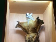 -重庆自然博物馆(新馆)
