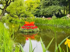 -上海共青森林公园