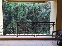 -韶关经律论国际酒店温泉