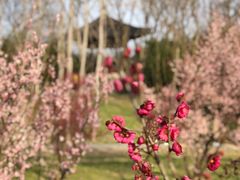 -蜀冈西峰生态公园