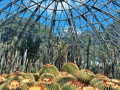 -深圳仙湖植物园