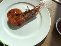 -新食谱全日制餐厅·苏州苏州湾艾美酒店