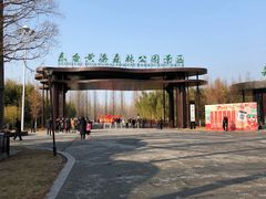 -黄海国家森林公园