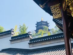 -龙天小镇