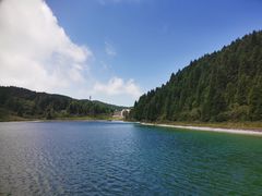 -武陵山森林公园