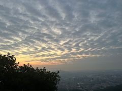 -广州市白云山风景名胜区