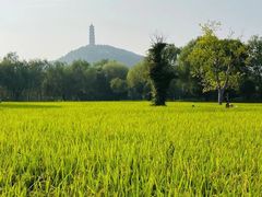 -北坞公园