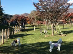 -轻井泽王子购物广场