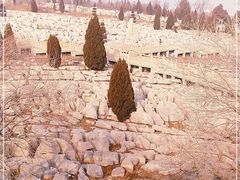 -原山国家森林公园