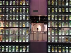 -广东中医药博物馆