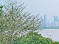 -深圳湾公园(南山区)