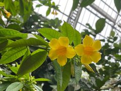 -南山植物园