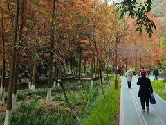 -重庆彩云湖湿地公园