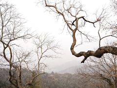 -灵顺寺