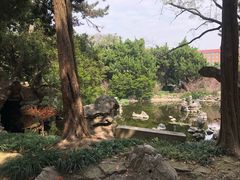 -叶家花园