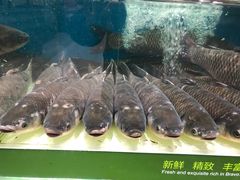 -永辉超市(鲁谷店)