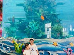 -青岛嘉年华主题乐园