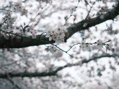 -上海辰山植物园