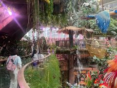 -正佳雨林生态植物园