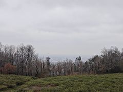 -虞山风景区
