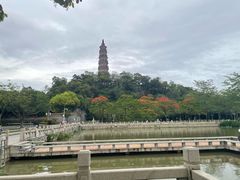-顺峰山公园
