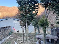 -卧龙中华大熊猫苑神树坪基地