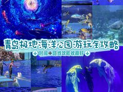 -海合安青岛极地海洋公园