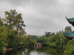 -桂湖森林公园