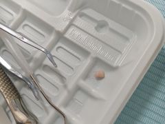 -永信齿科·永典口腔门诊部(浦东店)