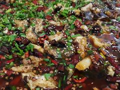 来凤鱼-瓦房兔(璧山店)