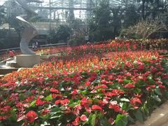 -南山植物园