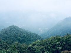 -娄山关景区
