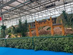 -兰陵国家农业公园