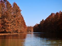 -上海海湾国家森林公园