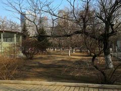 -沈阳中山公园