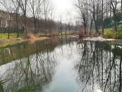 -黄陂区野村谷景区