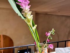 -陶享时光西餐·下午茶(信河街店)