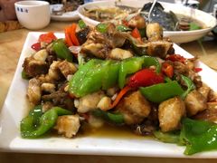 -煲来饱去冷水鱼